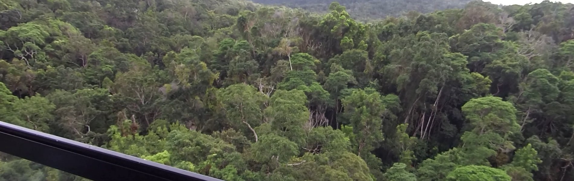 シンプルでカスタマイズしやすいWordPress.org登録テーマ